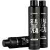 Slikhaar Seal The Deal Hair Spray 2025 Edition